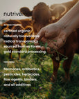 Organic beef bone broth powder with adaptogens