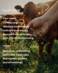 Organic whey protein concentrate powder