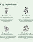 Organic Dirt